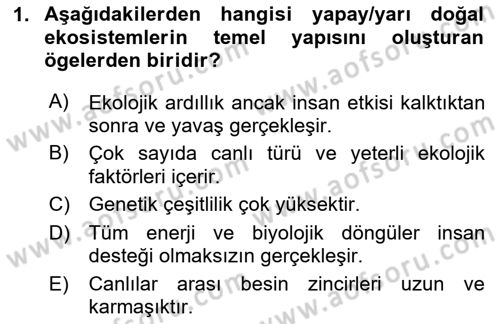 Sürdürülebilir Grafik Tasarım Dersi 2023 - 2024 Yılı (Vize) Ara Sınav Soruları 1. Soru