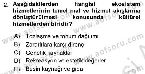 Sürdürülebilir Grafik Tasarım Dersi 2023 - 2024 Yılı (Vize) Ara Sınav Soruları 2. Soru