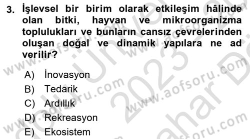 Sürdürülebilir Grafik Tasarım Dersi 2023 - 2024 Yılı (Vize) Ara Sınav Soruları 3. Soru
