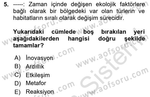 Sürdürülebilir Grafik Tasarım Dersi 2023 - 2024 Yılı (Vize) Ara Sınav Soruları 5. Soru