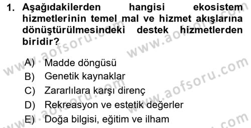 Sürdürülebilir Grafik Tasarım Dersi 2023 - 2024 Yılı (Final) Dönem Sonu Sınav Soruları 1. Soru