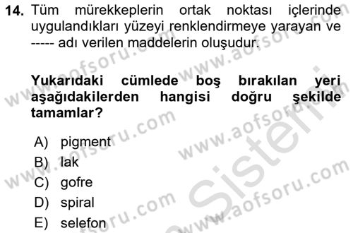 Sürdürülebilir Grafik Tasarım Dersi 2023 - 2024 Yılı (Final) Dönem Sonu Sınav Soruları 14. Soru