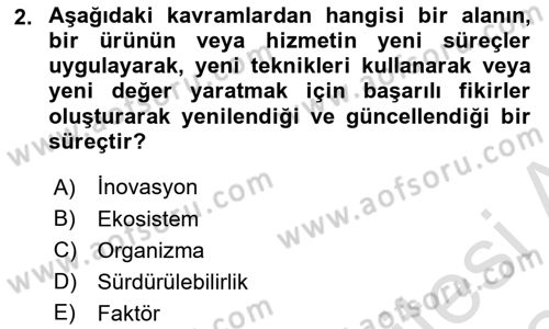 Sürdürülebilir Grafik Tasarım Dersi 2023 - 2024 Yılı Yaz Okulu Sınav Soruları 2. Soru