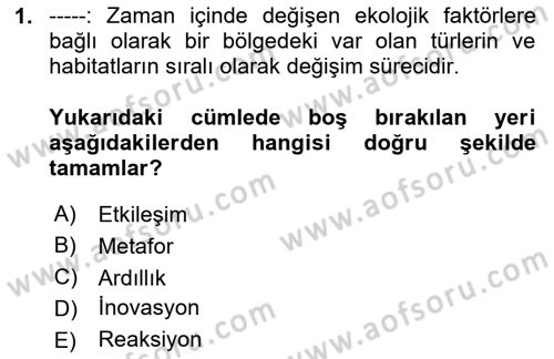 Sürdürülebilir Grafik Tasarım Dersi 2024 - 2025 Yılı (Vize) Ara Sınav Soruları 1. Soru