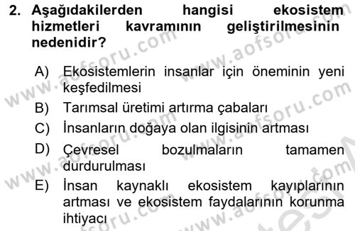 Sürdürülebilir Grafik Tasarım Dersi 2024 - 2025 Yılı (Vize) Ara Sınav Soruları 2. Soru