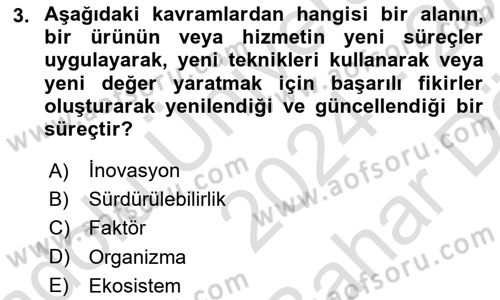 Sürdürülebilir Grafik Tasarım Dersi 2024 - 2025 Yılı (Vize) Ara Sınav Soruları 3. Soru