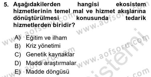 Sürdürülebilir Grafik Tasarım Dersi 2024 - 2025 Yılı (Vize) Ara Sınav Soruları 5. Soru