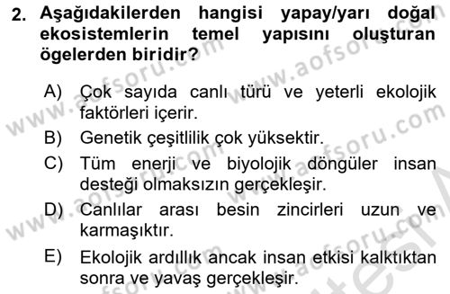 Sürdürülebilir Grafik Tasarım Dersi 2024 - 2025 Yılı (Final) Dönem Sonu Sınav Soruları 2. Soru