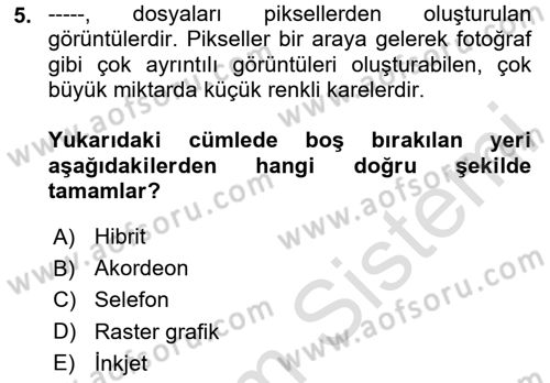Sürdürülebilir Grafik Tasarım Dersi 2024 - 2025 Yılı (Final) Dönem Sonu Sınav Soruları 5. Soru