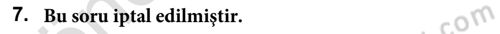 Sürdürülebilir Grafik Tasarım Dersi 2024 - 2025 Yılı (Final) Dönem Sonu Sınav Soruları 7. Soru