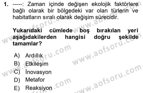Sürdürülebilir Grafik Tasarım Dersi 2024 - 2025 Yılı Yaz Okulu Sınav Soruları 1. Soru