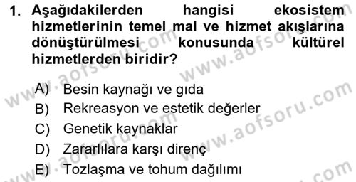 Sürdürülebilir Grafik Tasarım Dersi 2025 - 2026 Yılı (Vize) Ara Sınav Soruları 1. Soru