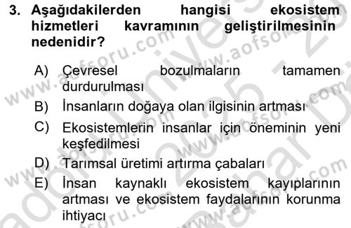 Sürdürülebilir Grafik Tasarım Dersi 2025 - 2026 Yılı (Vize) Ara Sınav Soruları 3. Soru