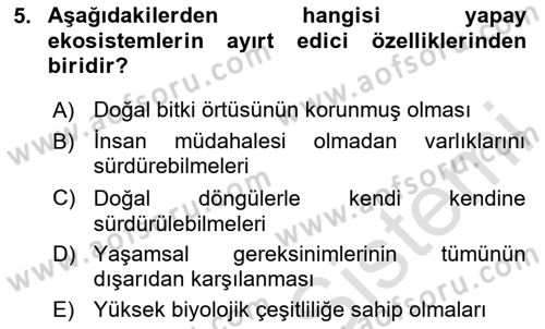 Sürdürülebilir Grafik Tasarım Dersi 2025 - 2026 Yılı (Vize) Ara Sınav Soruları 5. Soru