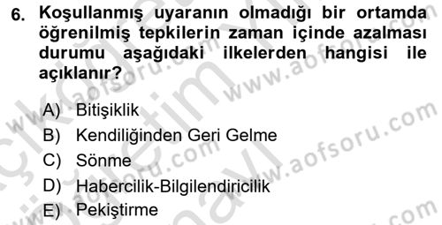 Eğitici İçerik Tasarımı Dersi 2023 - 2024 Yılı Yaz Okulu Sınav Soruları 6. Soru