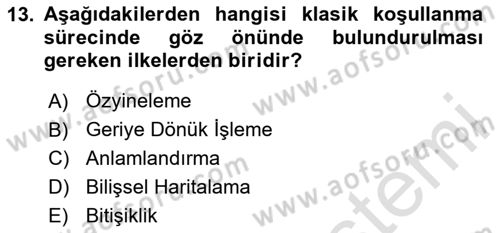 Eğitici İçerik Tasarımı Dersi 2024 - 2025 Yılı (Vize) Ara Sınav Soruları 13. Soru