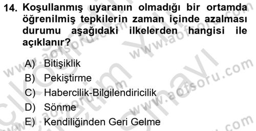 Eğitici İçerik Tasarımı Dersi 2024 - 2025 Yılı (Vize) Ara Sınav Soruları 14. Soru