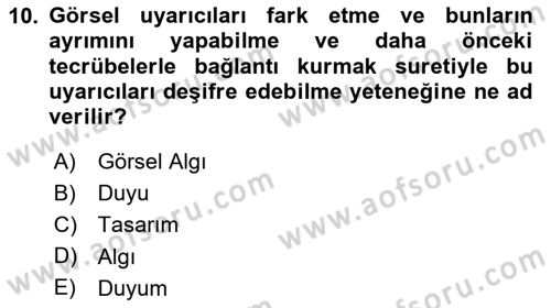 Eğitici İçerik Tasarımı Dersi 2024 - 2025 Yılı Yaz Okulu Sınav Soruları 10. Soru