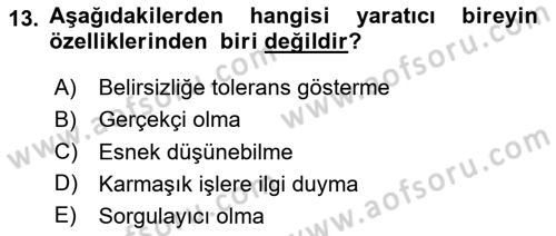 Eğitici İçerik Tasarımı Dersi 2024 - 2025 Yılı Yaz Okulu Sınav Soruları 13. Soru