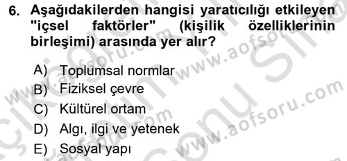 Eğitici İçerik Tasarımı Dersi 2025 - 2026 Yılı (Final) Dönem Sonu Sınav Soruları 6. Soru