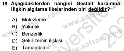 Eğitici İçerik Tasarımı Dersi 2025 - 2026 Yılı Yaz Okulu Sınav Soruları 18. Soru