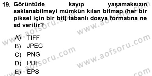 Ambalaj Tasarımı Dersi 2025 - 2026 Yılı (Vize) Ara Sınav Soruları 19. Soru