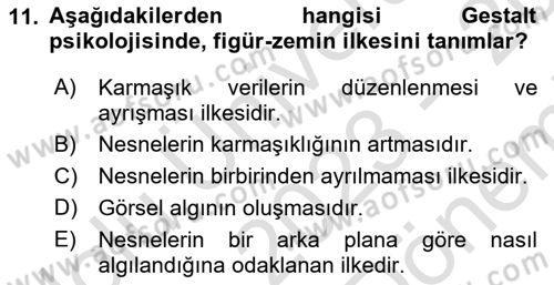 Bilgi Görselleştirme Dersi 2023 - 2024 Yılı (Final) Dönem Sonu Sınav Soruları 11. Soru