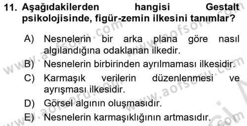 Bilgi Görselleştirme Dersi 2023 - 2024 Yılı Yaz Okulu Sınav Soruları 11. Soru
