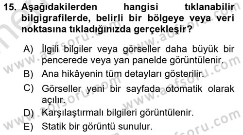 Bilgi Görselleştirme Dersi 2024 - 2025 Yılı (Vize) Ara Sınav Soruları 15. Soru