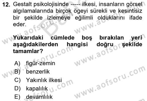 Bilgi Görselleştirme Dersi 2024 - 2025 Yılı (Final) Dönem Sonu Sınav Soruları 12. Soru