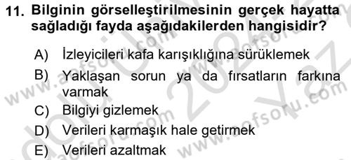 Bilgi Görselleştirme Dersi 2024 - 2025 Yılı Yaz Okulu Sınav Soruları 11. Soru