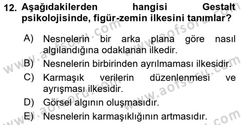 Bilgi Görselleştirme Dersi 2024 - 2025 Yılı Yaz Okulu Sınav Soruları 12. Soru