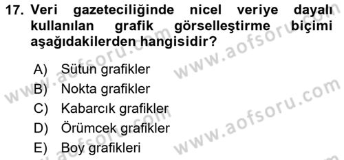 Bilgi Görselleştirme Dersi 2024 - 2025 Yılı Yaz Okulu Sınav Soruları 17. Soru