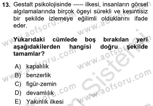 Bilgi Görselleştirme Dersi 2025 - 2026 Yılı Yaz Okulu Sınav Soruları 13. Soru