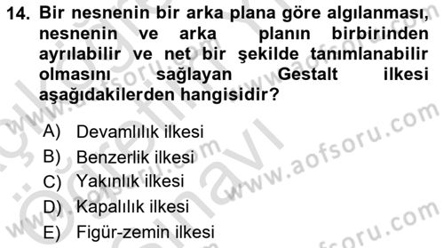 Bilgi Görselleştirme Dersi 2025 - 2026 Yılı Yaz Okulu Sınav Soruları 14. Soru