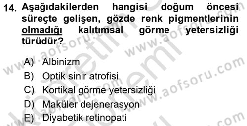 Engellilik Ve Erişilebilir Tasarım Dersi 2024 - 2025 Yılı (Final) Dönem Sonu Sınav Soruları 14. Soru