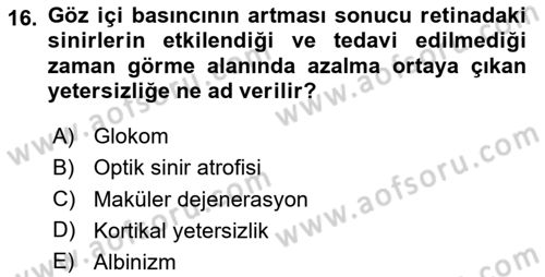 Engellilik Ve Erişilebilir Tasarım Dersi 2024 - 2025 Yılı Yaz Okulu Sınav Soruları 16. Soru