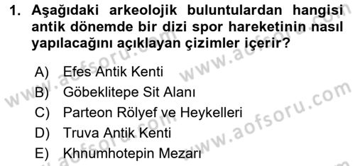 Hareketli Grafik Tasarımı Dersi 2024 - 2025 Yılı (Vize) Ara Sınav Soruları 1. Soru