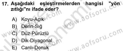 Hareketli Grafik Tasarımı Dersi 2024 - 2025 Yılı (Vize) Ara Sınav Soruları 17. Soru