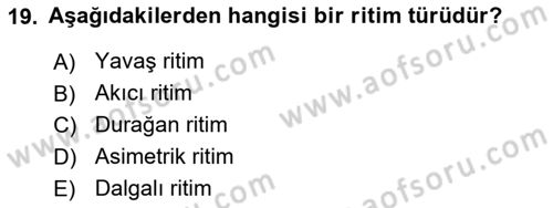 Hareketli Grafik Tasarımı Dersi 2024 - 2025 Yılı (Vize) Ara Sınav Soruları 19. Soru