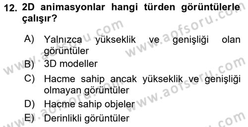 Hareketli Grafik Tasarımı Dersi 2024 - 2025 Yılı (Final) Dönem Sonu Sınav Soruları 12. Soru