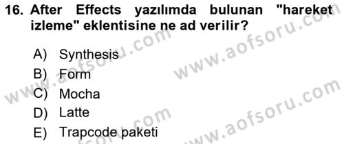 Hareketli Grafik Tasarımı Dersi 2024 - 2025 Yılı (Final) Dönem Sonu Sınav Soruları 16. Soru