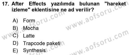 Hareketli Grafik Tasarımı Dersi 2024 - 2025 Yılı Yaz Okulu Sınav Soruları 17. Soru