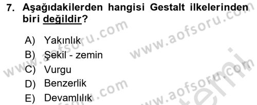 Hareketli Grafik Tasarımı Dersi 2024 - 2025 Yılı Yaz Okulu Sınav Soruları 7. Soru