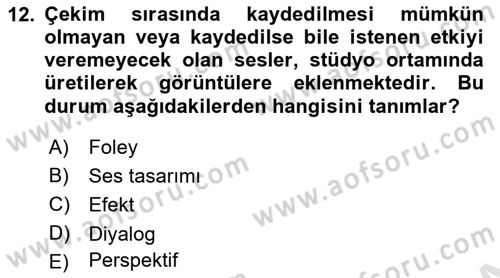 Hareketli Grafik Tasarımı Dersi 2025 - 2026 Yılı (Vize) Ara Sınav Soruları 12. Soru
