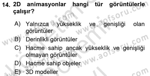 Hareketli Grafik Tasarımı Dersi 2025 - 2026 Yılı (Final) Dönem Sonu Sınav Soruları 14. Soru