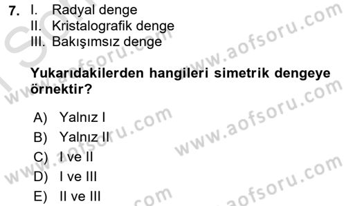 Hareketli Grafik Tasarımı Dersi 2025 - 2026 Yılı (Final) Dönem Sonu Sınav Soruları 7. Soru