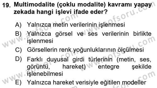 Hareketli Grafik Tasarımı Dersi 2025 - 2026 Yılı Yaz Okulu Sınav Soruları 19. Soru