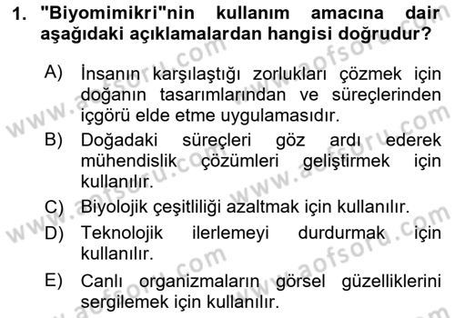 Posthümanist Tasarım Yaklaşımları Dersi 2024 - 2025 Yılı (Vize) Ara Sınav Soruları 1. Soru