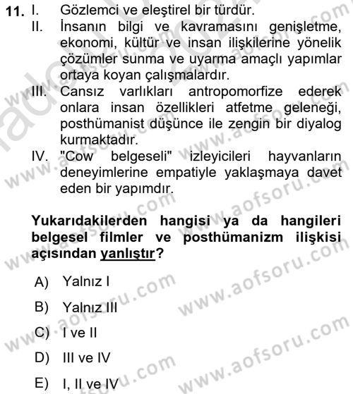 Posthümanist Tasarım Yaklaşımları Dersi 2024 - 2025 Yılı (Vize) Ara Sınav Soruları 11. Soru